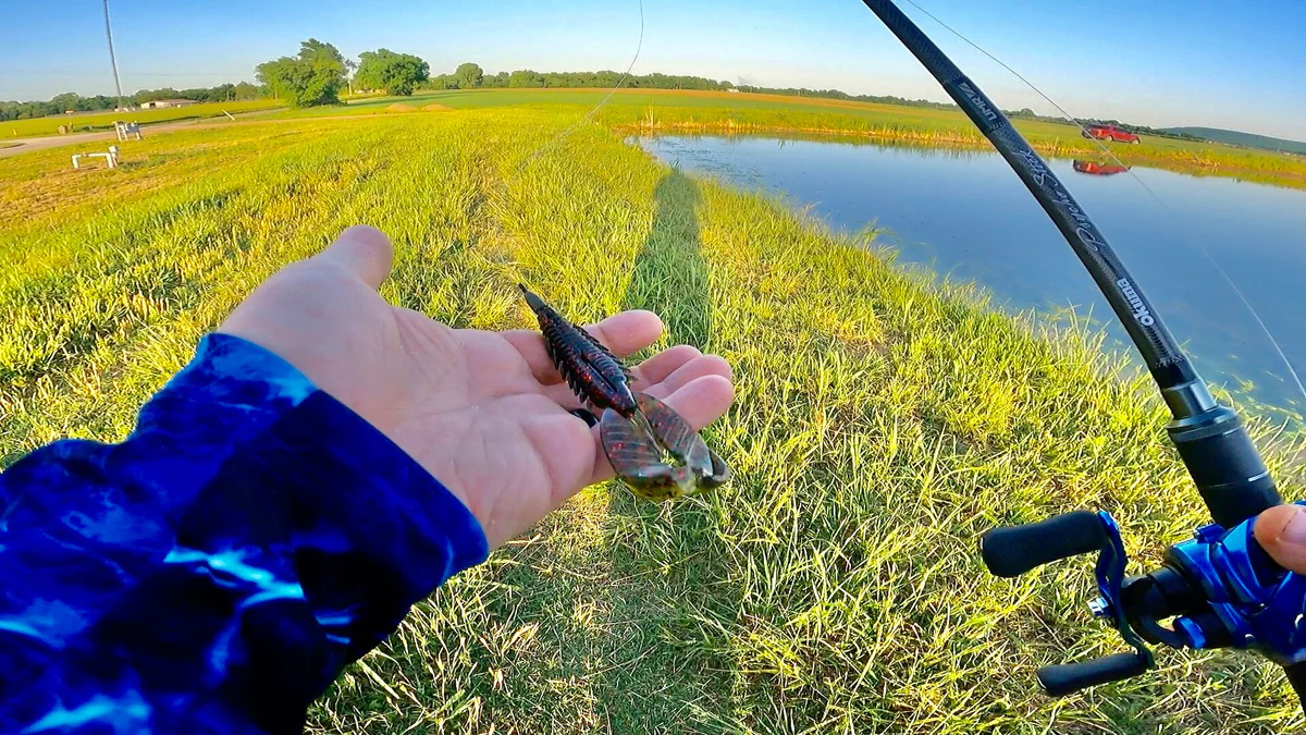 Τεχνική Weedless Fishing