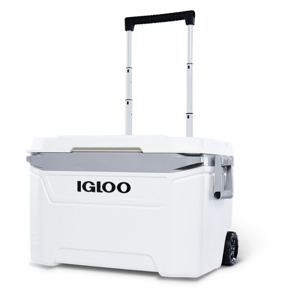 IGLOO SUNSET ROLLER 60 WHITE