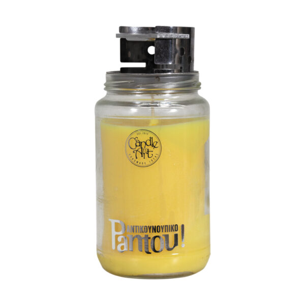 ΑΝΤΙΚΟΥΝΟΥΠΙΚΟ ΚΕΡΙ PANTOU (580ML)