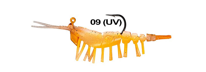 AYU SHRIMP #09
